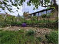 maison-villa à la vente
